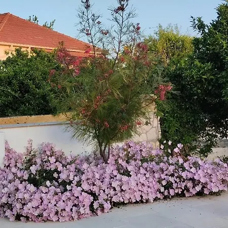 Erasmia- House 1 Ground Floor Svoronata